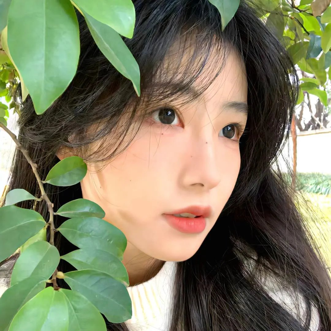 了不起的小家伙们